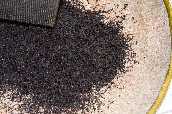 black tea leaves being processed