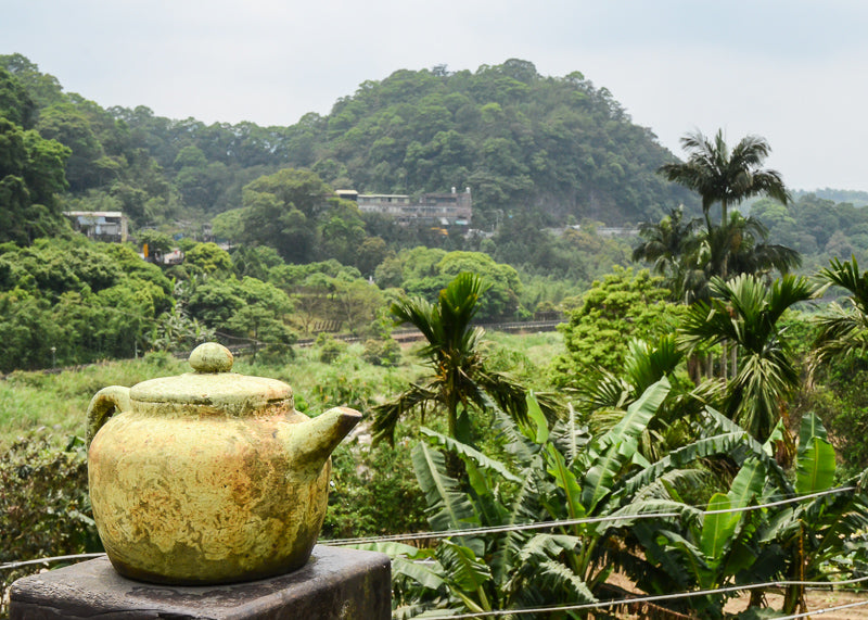 yellow teapot statue with lush tropical plants and mountain in background
