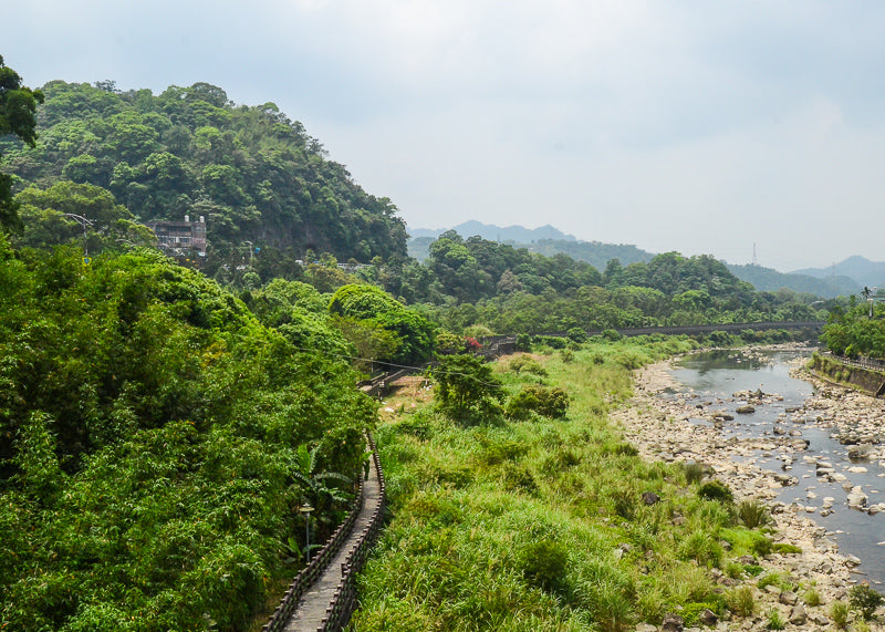 train track through lush foliage and river along the right